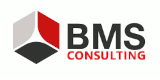 BMS Consulting GmbH