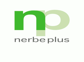 nerbe plus GmbH & Co. KG